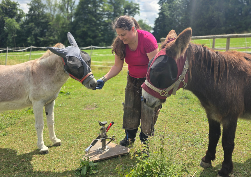 
Warning: Undefined property: stdClass::$title in /home/httpd/vhosts/barhufprofi.ch/httpdocs/modules/mod_uk_pricetable/tmpl/default.php on line 32
