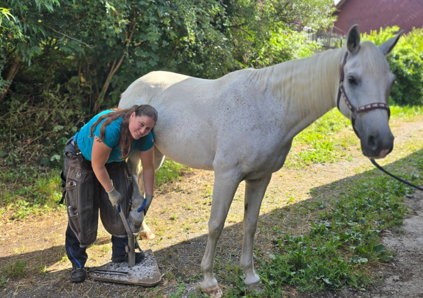 
Warning: Undefined property: stdClass::$title in /home/httpd/vhosts/barhufprofi.ch/httpdocs/modules/mod_uk_pricetable/tmpl/default.php on line 32
