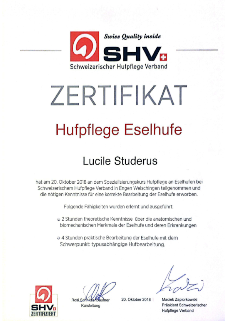 
Warning: Undefined property: stdClass::$title in /home/httpd/vhosts/barhufprofi.ch/httpdocs/modules/mod_uk_pricetable/tmpl/default.php on line 32
